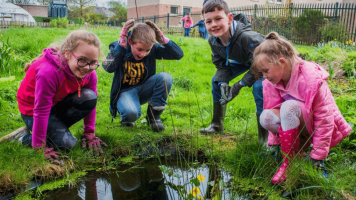 Climate Emergency Community Action Programme (CECAP)